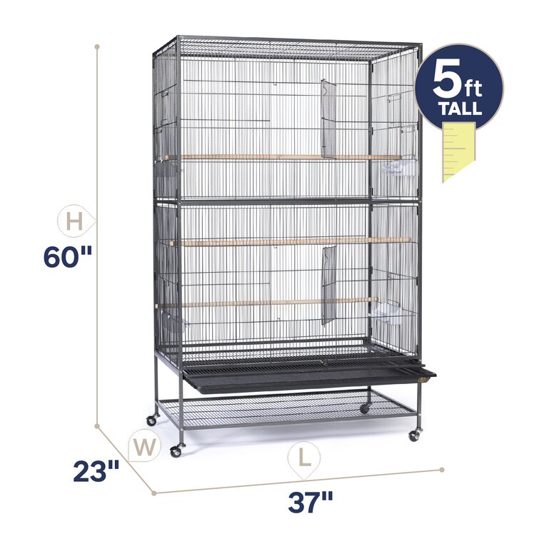 5ft hotsell bird cage